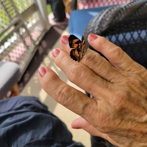 Meet your Posher, Kathleen